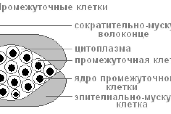 Где найти ссылку на кракен