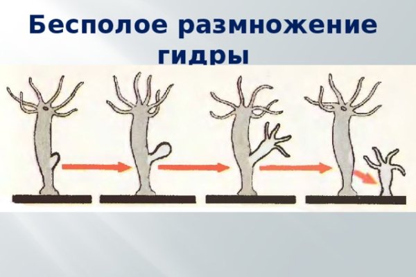 Кракен маркетплейс ссылка на сайт