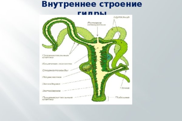 Кракен наркошоп ссылка